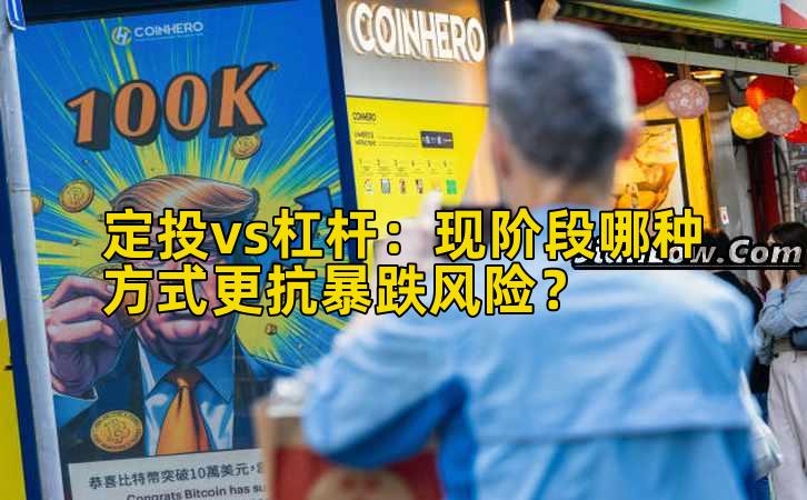 定投vs杠杆：现阶段哪种方式更抗暴跌风险？插图