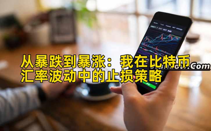 从暴跌到暴涨：我在比特币汇率波动中的止损策略插图