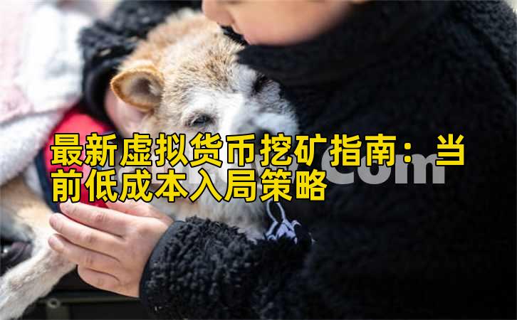 最新虚拟货币挖矿指南：当前低成本入局策略插图