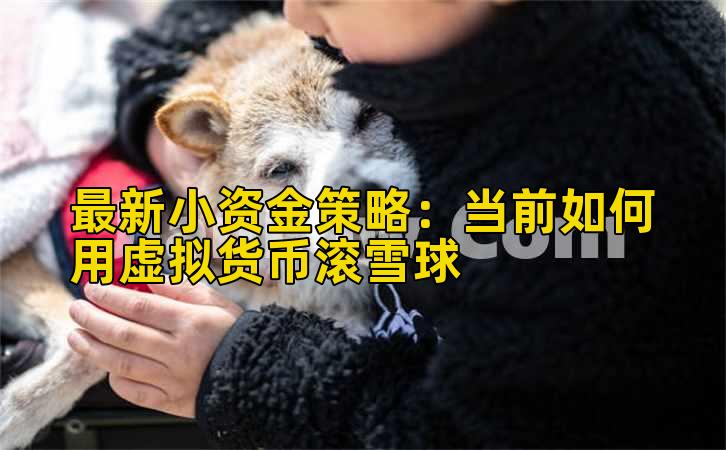 最新小资金策略：当前如何用虚拟货币滚雪球插图