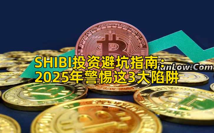 SHIBI投资避坑指南：2025年警惕这3大陷阱插图
