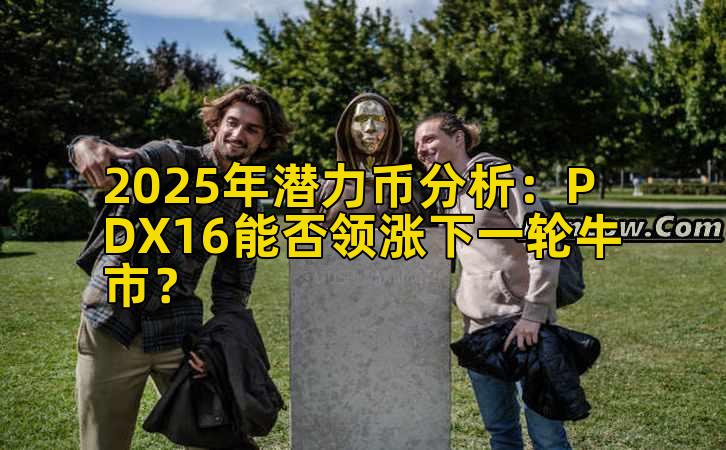 2025年潜力币分析：PDX16能否领涨下一轮牛市？插图