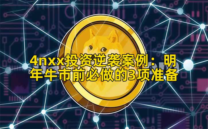 4nxx投资逆袭案例:明年牛市前必做的3项准备插图 4nxx投资逆袭案例:明年牛市前必做的3项准备插图