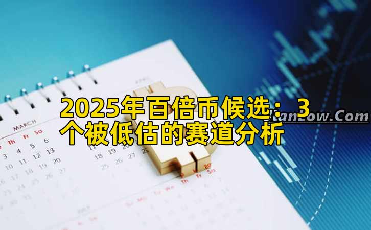 2025年百倍币候选：3个被低估的赛道分析插图