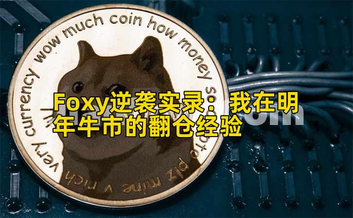 Foxy逆袭实录:我在明年牛市的翻仓经验插图 Foxy逆袭实录:我在明年牛市的翻仓经验插图