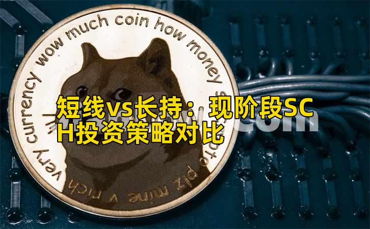 短线vs长持：现阶段SCH投资策略对比插图