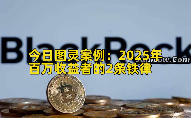 今日图灵案例:2025年百万收益者的2条铁律插图 今日图灵案例:2025年百万收益者的2条铁律插图