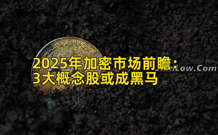 2025年加密市场前瞻：3大概念股或成黑马插图