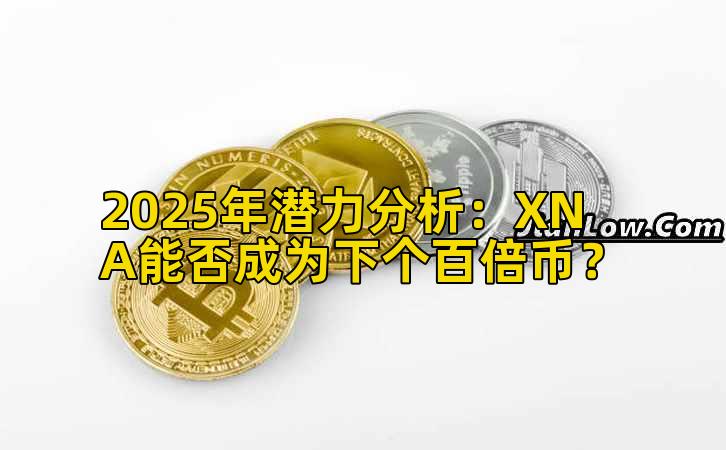 2025年潜力分析：XNA能否成为下个百倍币？插图