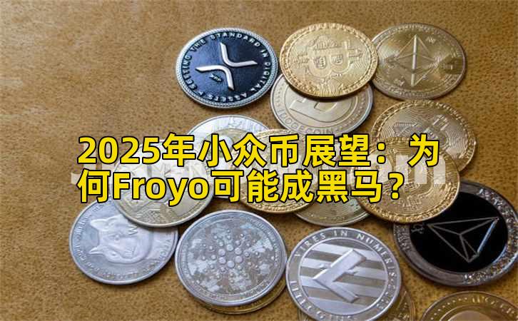 2025年小众币展望：为何Froyo可能成黑马？插图