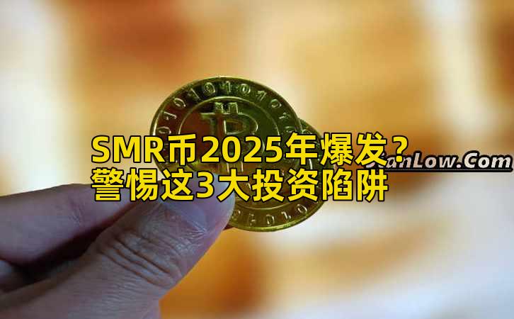 SMR币2025年爆发?警惕这3大投资陷阱插图 SMR币2025年爆发?警惕这3大投资陷阱插图