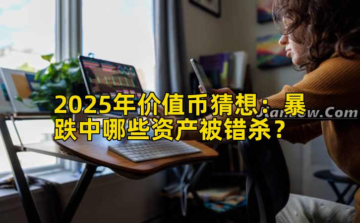 2025年价值币猜想：暴跌中哪些资产被错杀？插图