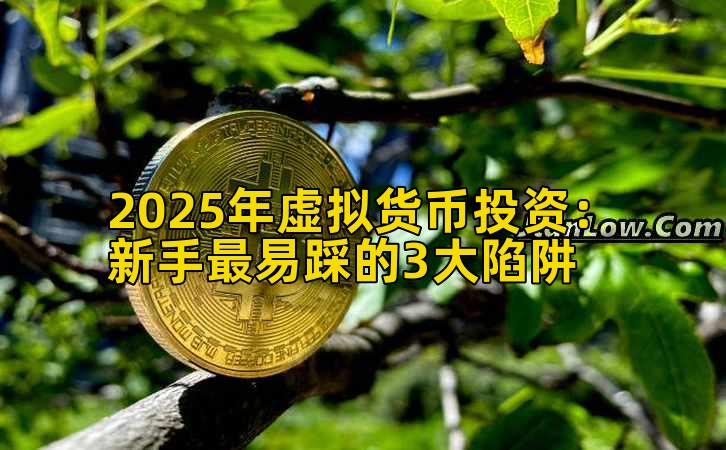 2025年虚拟货币投资：新手最易踩的3大陷阱插图