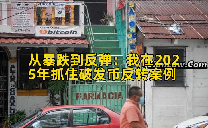 从暴跌到反弹：我在2025年抓住破发币反转案例插图