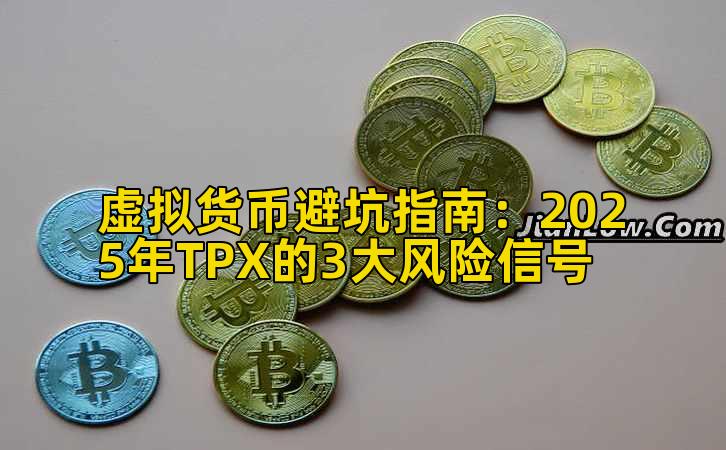 虚拟货币避坑指南：2025年TPX的3大风险信号插图
