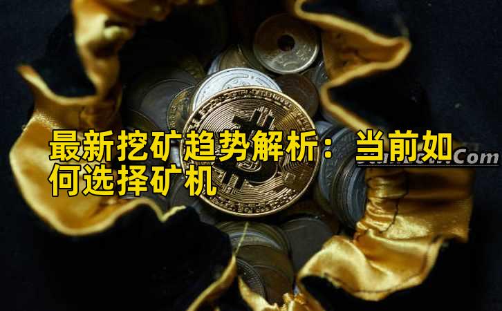 最新挖矿趋势解析:当前如何选择矿机插图 最新挖矿趋势解析:当前如何选择矿机插图