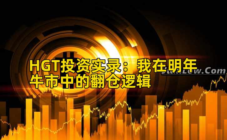 HGT投资实录：我在明年牛市中的翻仓逻辑插图