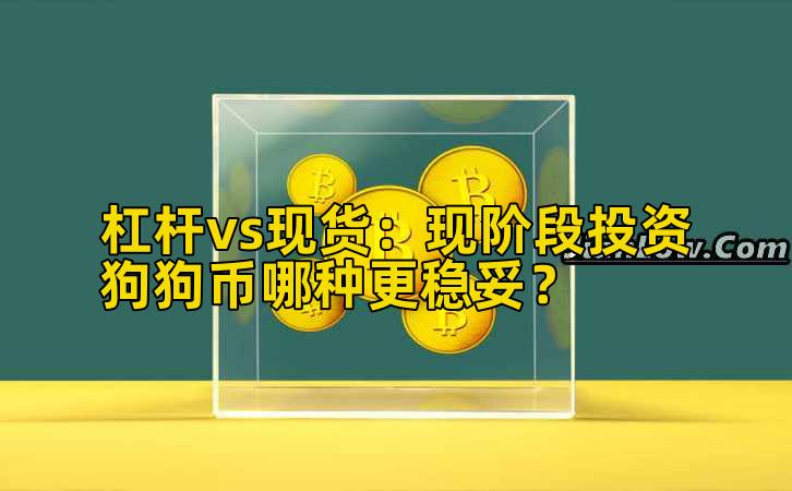 杠杆vs现货:现阶段投资狗狗币哪种更稳妥?插图 杠杆vs现货:现阶段投资狗狗币哪种更稳妥?插图