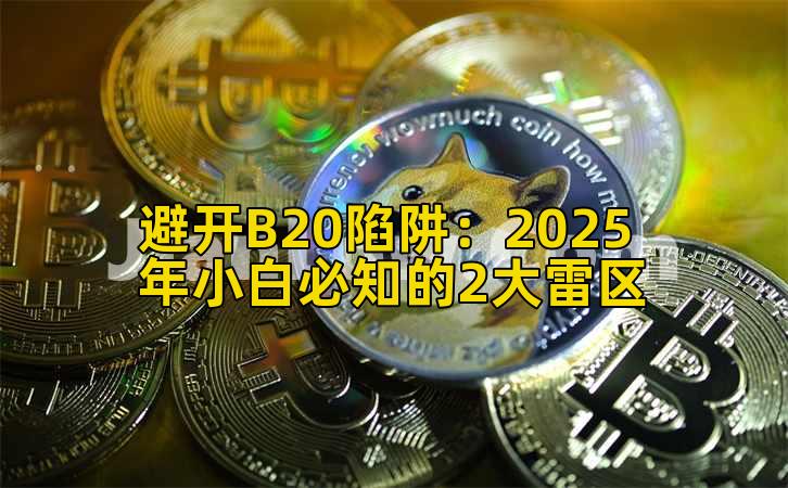 避开B20陷阱:2025年小白必知的2大雷区插图 避开B20陷阱:2025年小白必知的2大雷区插图