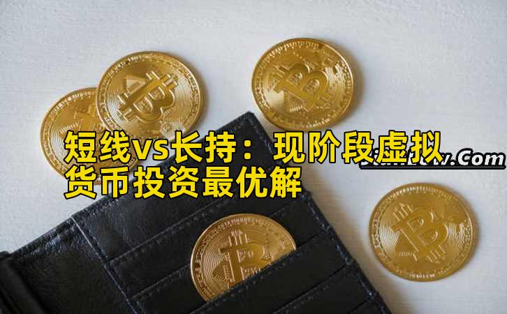 短线vs长持：现阶段虚拟货币投资最优解插图