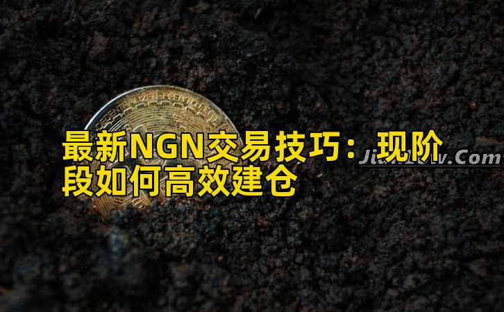 最新NGN交易技巧:现阶段如何高效建仓插图 最新NGN交易技巧:现阶段如何高效建仓插图