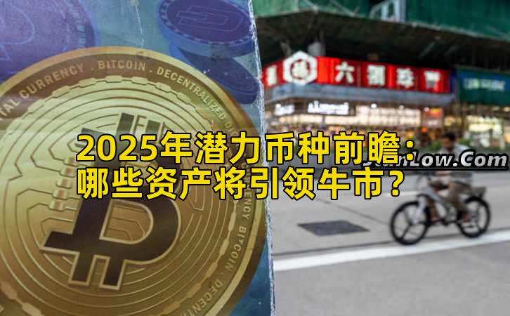 2025年潜力币种前瞻：哪些资产将引领牛市？插图