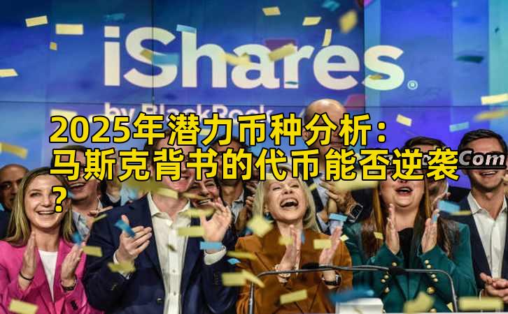 2025年潜力币种分析：马斯克背书的代币能否逆袭？插图