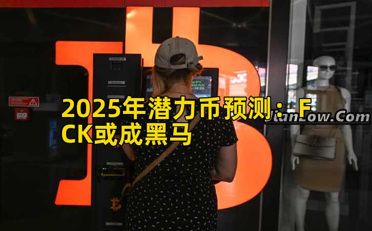 2025年潜力币预测：FCK或成黑马插图