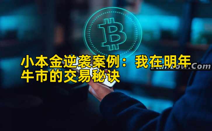 小本金逆袭案例：我在明年牛市的交易秘诀插图