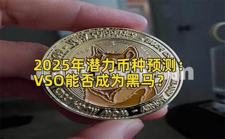 2025年潜力币种预测：VSO能否成为黑马？插图