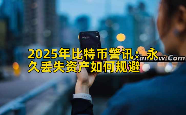 2025年比特币警讯：永久丢失资产如何规避插图