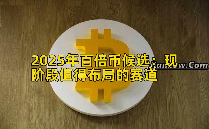 2025年百倍币候选：现阶段值得布局的赛道插图