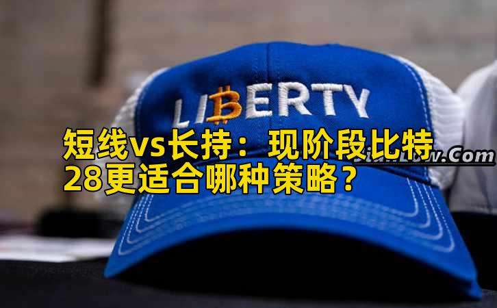 短线vs长持：现阶段比特28更适合哪种策略？插图