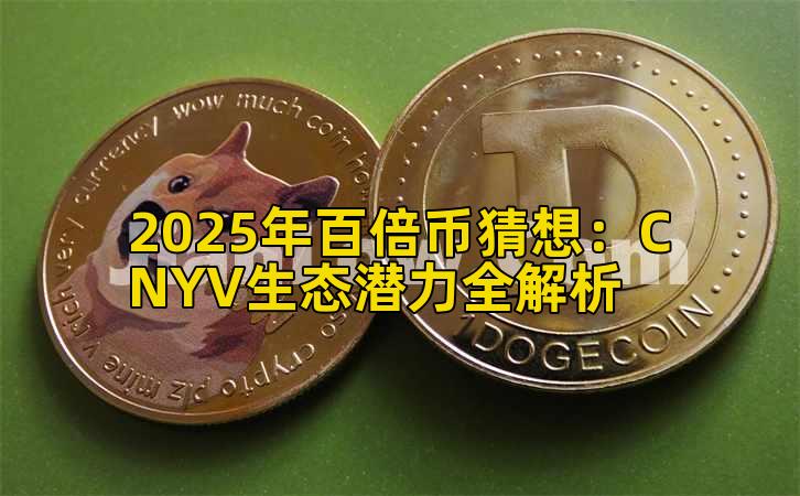 2025年百倍币猜想:CNYV生态潜力全解析插图 2025年百倍币猜想:CNYV生态潜力全解析插图