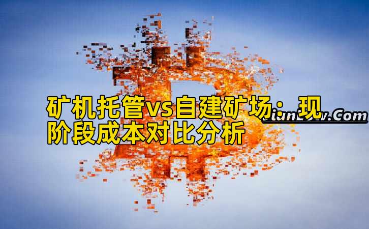矿机托管vs自建矿场：现阶段成本对比分析插图