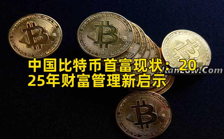 中国比特币首富现状：2025年财富管理新启示插图