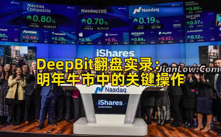 DeepBit翻盘实录：明年牛市中的关键操作插图