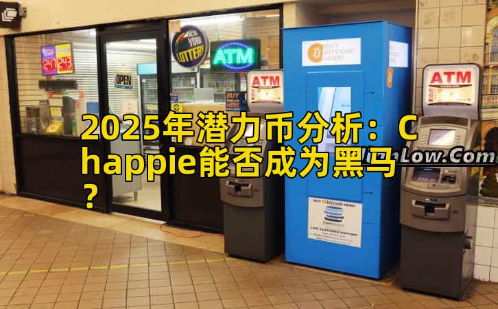 2025年潜力币分析：Chappie能否成为黑马？插图