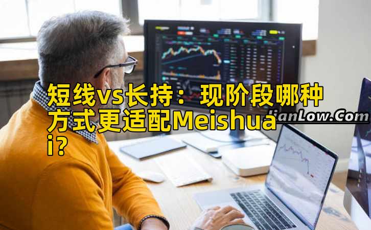 短线vs长持:现阶段哪种方式更适配Meishuai?插图 短线vs长持:现阶段哪种方式更适配Meishuai?插图