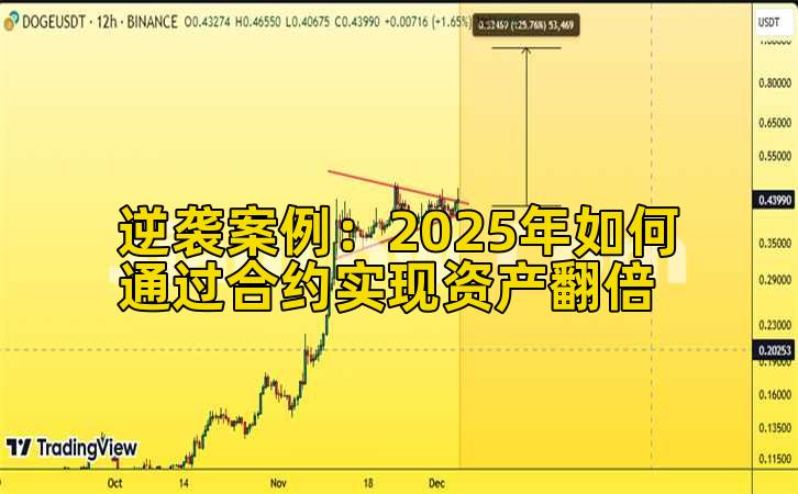 逆袭案例：2025年如何通过合约实现资产翻倍插图