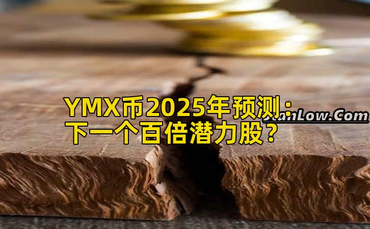 YMX币2025年预测：下一个百倍潜力股？插图