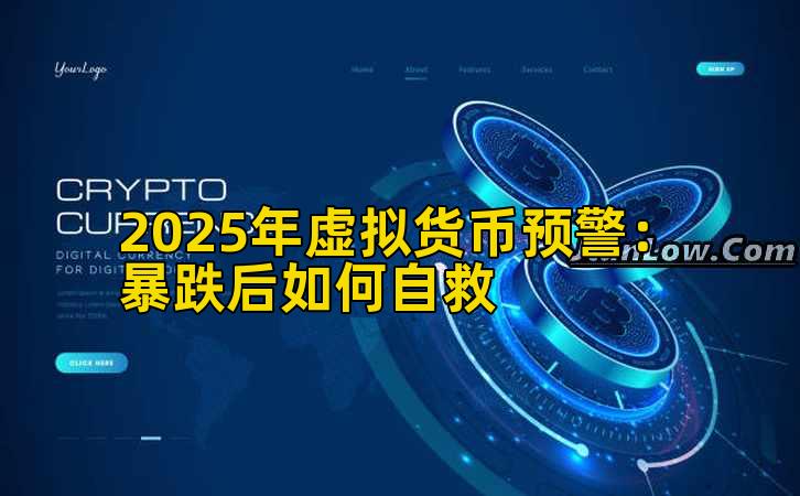 2025年虚拟货币预警：暴跌后如何自救插图