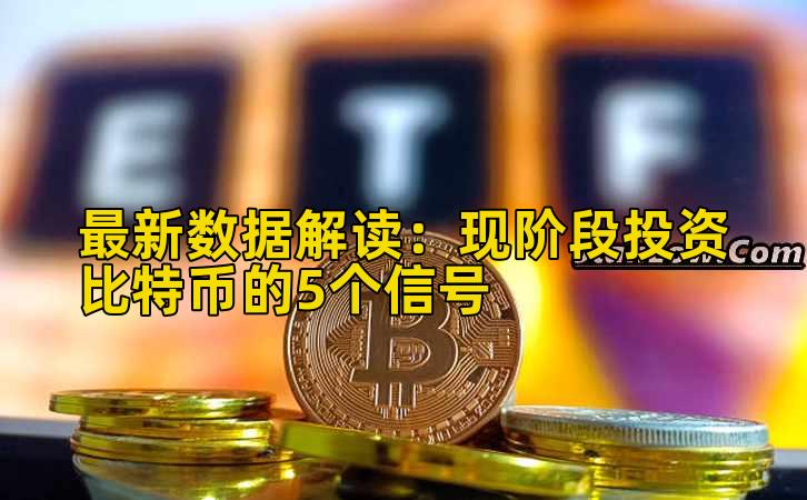 最新数据解读：现阶段投资比特币的5个信号插图