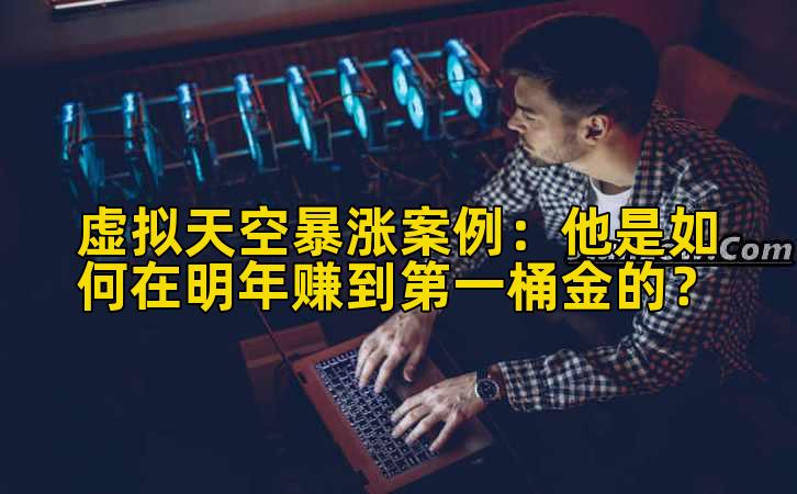 虚拟天空暴涨案例：他是如何在明年赚到第一桶金的？插图