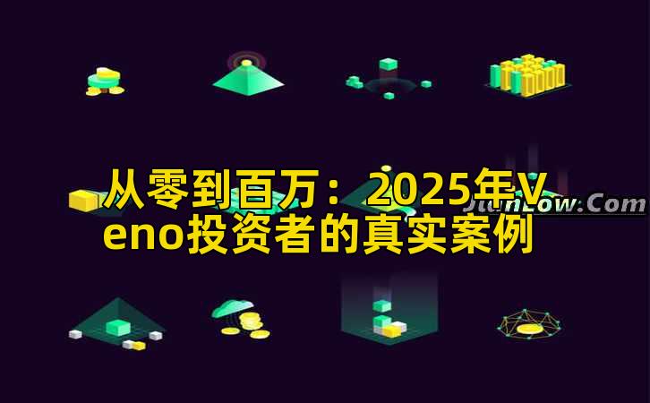 从零到百万：2025年Veno投资者的真实案例插图
