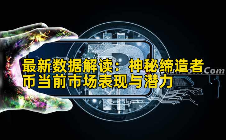 最新数据解读：神秘缔造者币当前市场表现与潜力插图
