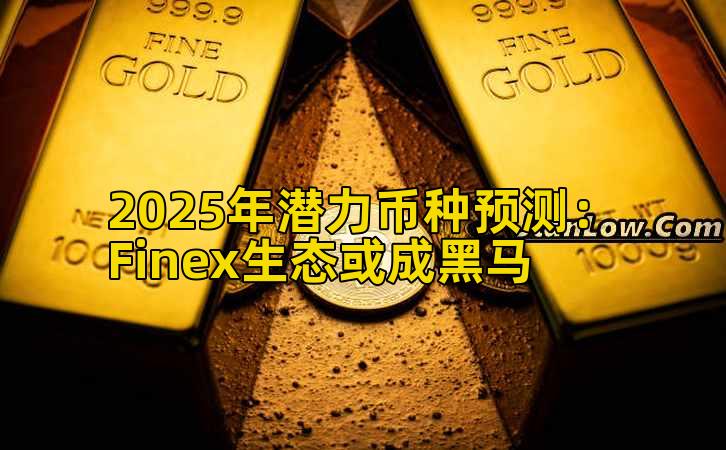 2025年潜力币种预测：Finex生态或成黑马插图