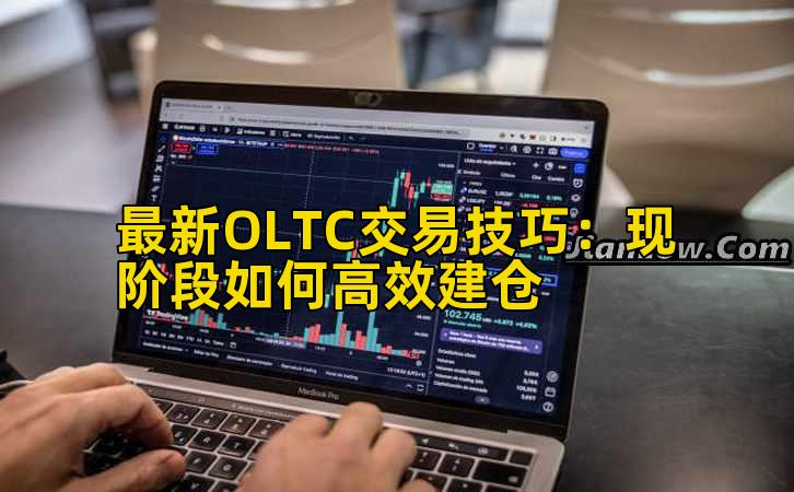 最新OLTC交易技巧：现阶段如何高效建仓插图