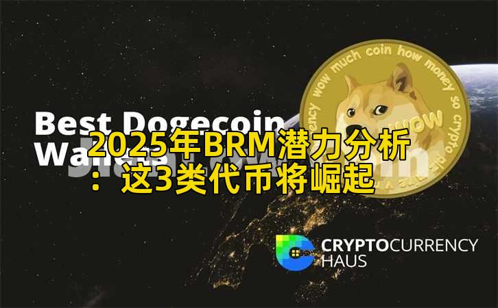 2025年BRM潜力分析：这3类代币将崛起插图