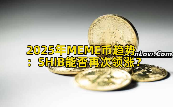2025年MEME币趋势：SHIB能否再次领涨？插图